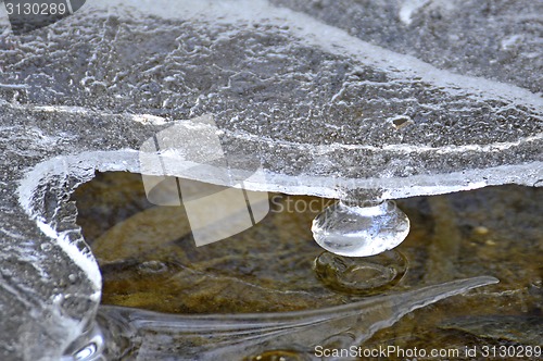 Image of icicle at a creek