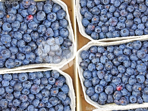 Image of blueberries at a street sale