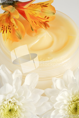 Image of Face or body cream