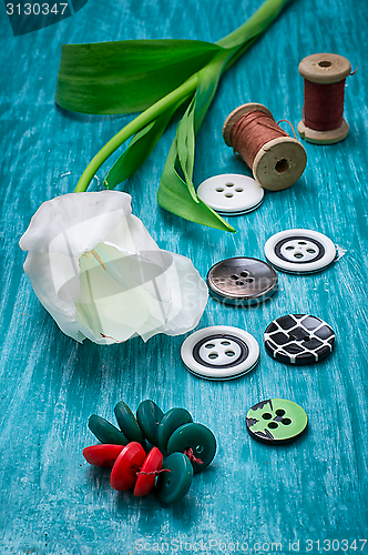 Image of one white tulip and buttons with threads