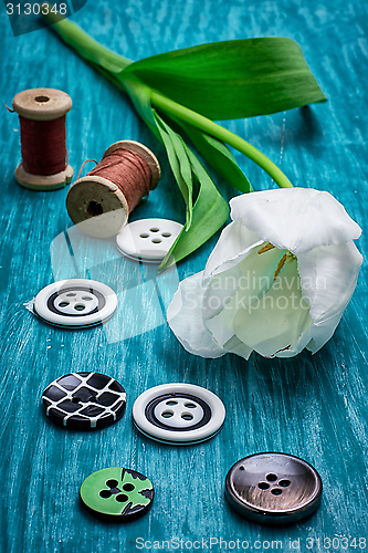 Image of one white tulip and buttons with threads