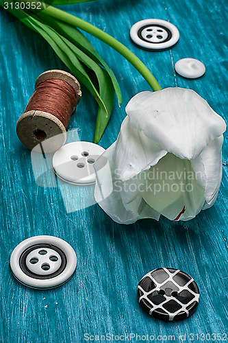 Image of one white tulip and buttons with threads