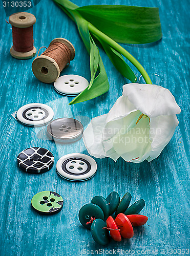 Image of one white tulip and buttons with threads