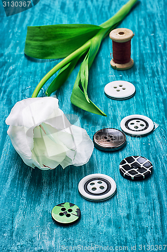 Image of one white tulip and buttons with threads