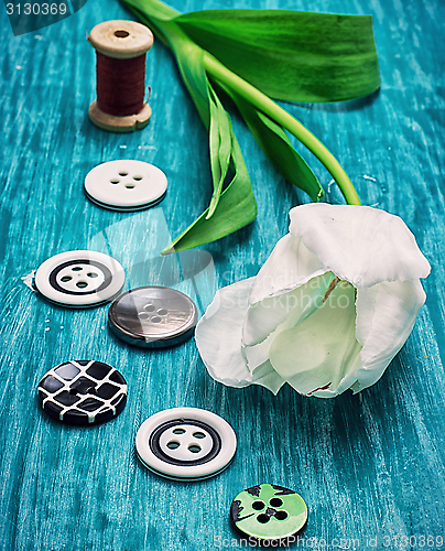 Image of one white tulip and buttons with threads