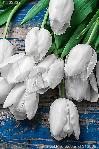 Image of white tulips