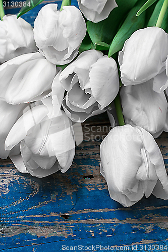 Image of white tulips