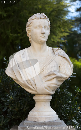 Image of Monument, bust, marble.