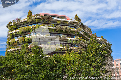 Image of Appartment building covered by climbing plant - creeper