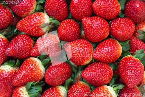 Image of Fresh organic strawberries