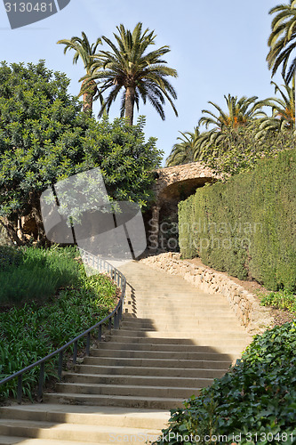 Image of staircase in greenery and palm trees