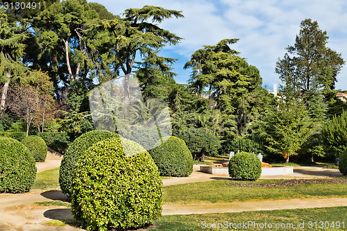Image of Green Garden.