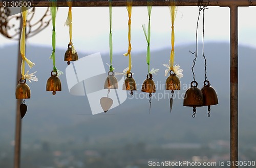 Image of Golden bells 