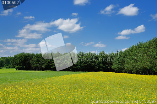 Image of Spring landscape