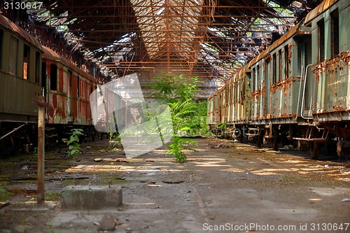 Image of Cargo trains in old train depot