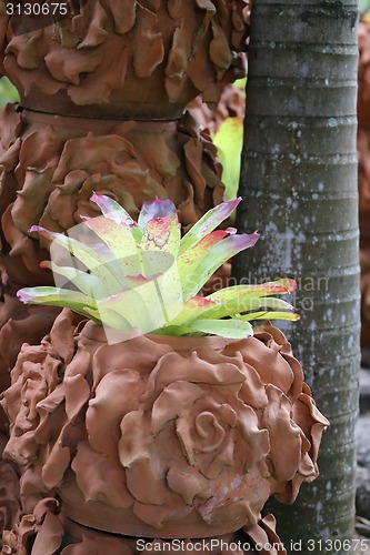 Image of Plant with green leaves in a pot 