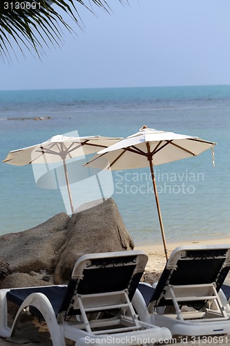 Image of Sun loungers