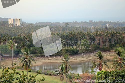 Image of Rainforest