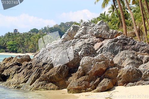 Image of Tropical landscape