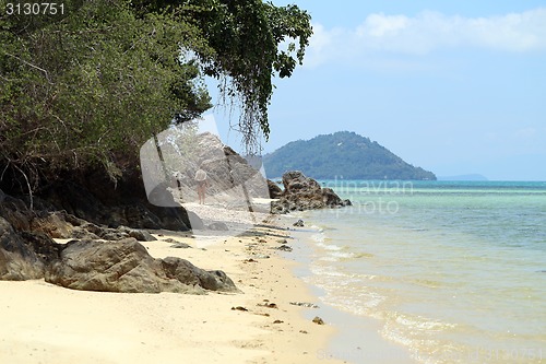 Image of Tropical landscape