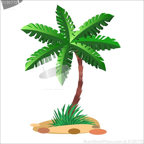 Image of Green palm tree on a neutral background