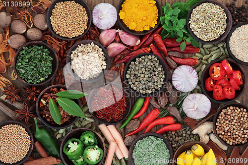 Image of Herb and Spice Selection