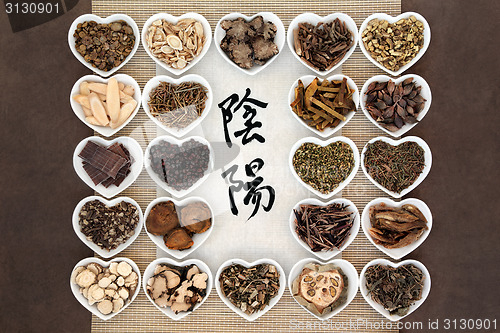 Image of Yin and Yang Herbs