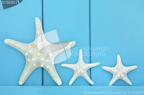 Image of Starfish 