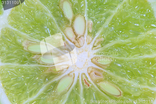 Image of Bergamot isolated white background