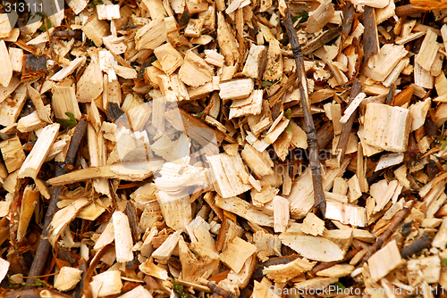 Image of Wood chips