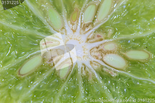 Image of Bergamot isolated white background