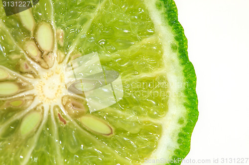 Image of Bergamot isolated white background