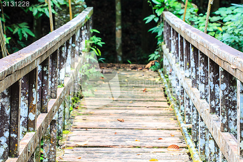 Image of Bridge over the waterfall in Forest