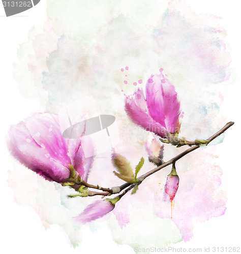 Image of Magnolia Flowers