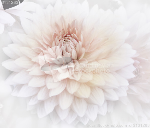 Image of Floral Watercolor Background