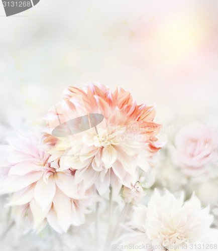 Image of Soft Focus Floral Background