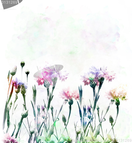 Image of Cornflowers Watercolor 