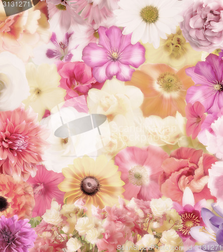 Image of Colorful Floral Background