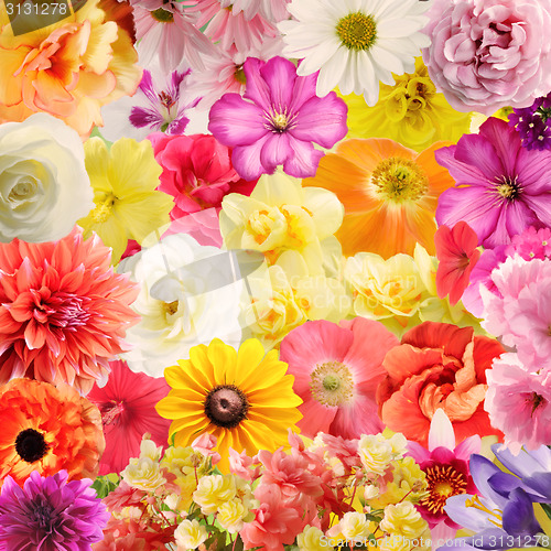 Image of Colorful Floral Background