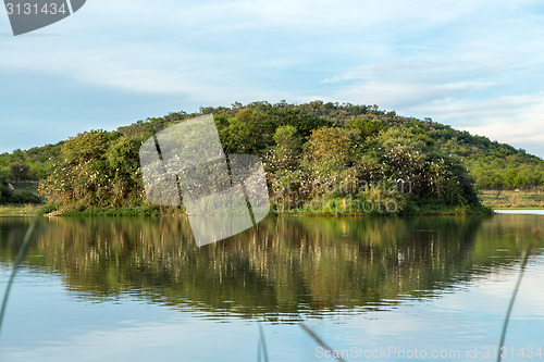 Image of Thousands of birds nest on a small island 