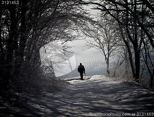 Image of Winter Road