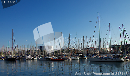 Image of Marina of Barcelona