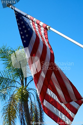 Image of American Flag with palm tree