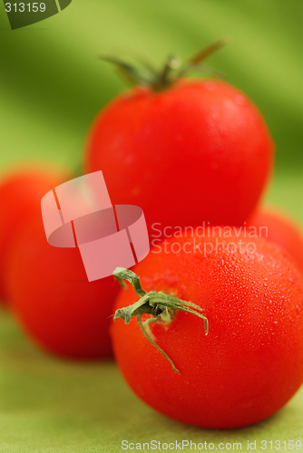 Image of Tomatoes