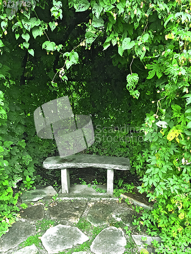 Image of Stone bench in green summer garden