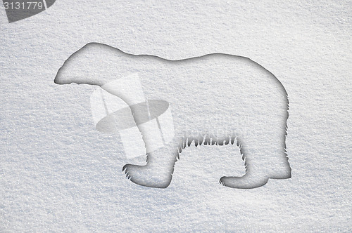 Image of Polar bear in snow