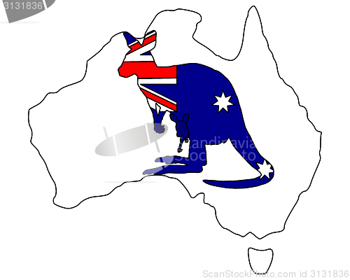 Image of Australian kangaroo