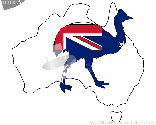 Image of Kassowary Australia