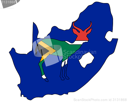 Image of South Africa antilope