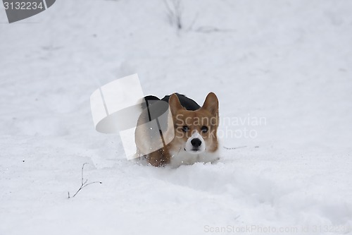 Image of deep snow